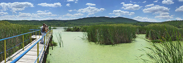 Arkutino
